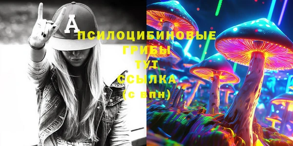 хмурый Алексин