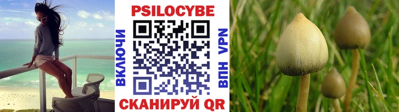 Псилоцибиновые грибы GOLDEN TEACHER  blacksprut сайт  Избербаш 