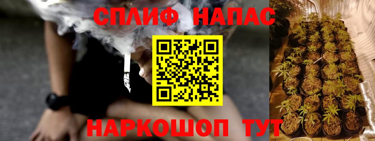 Шишки марихуана Amnesia  МАРИХУАНА семена  Избербаш  Бошки Шишки индика  Вход с VPN 